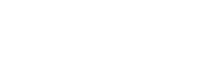 Les Clés de la Réussite — conciergerie Airbnb à Guyancourt